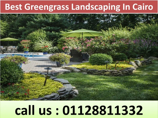 Best Greengrass Landscaping In Cairo