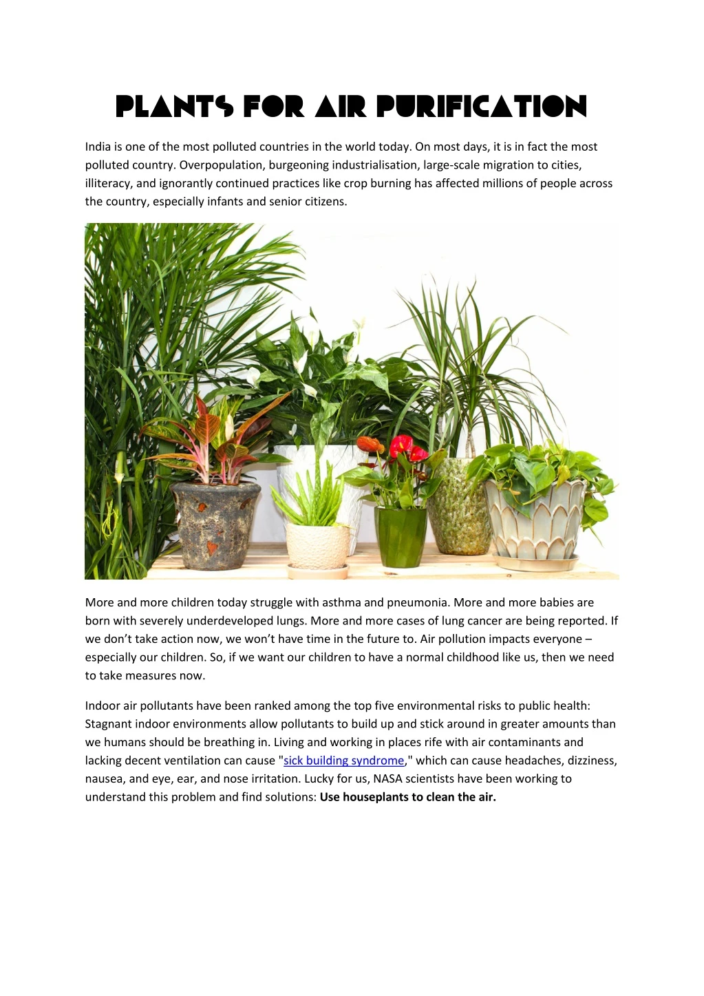 plants for air purification plants