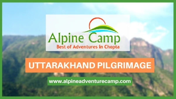 Hotels in Chopta Uttarakhand - Alpine Adventure Camp