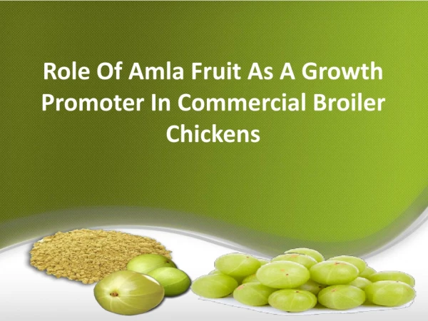 Role Of Amla Fruit As a Growth Promoter