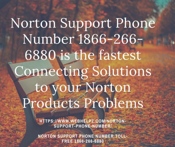 Norton Support Phone Number