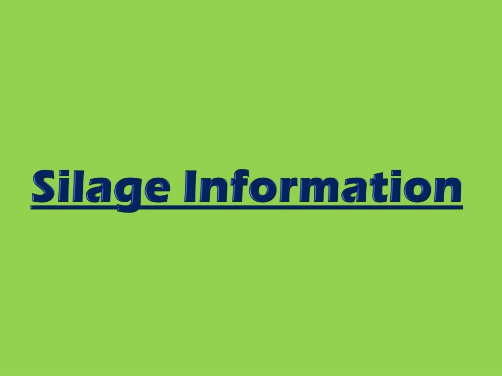 silage information