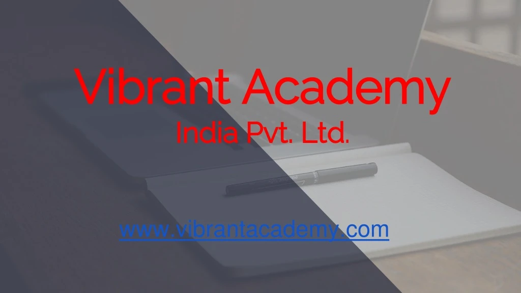 vibrant academy india pvt ltd