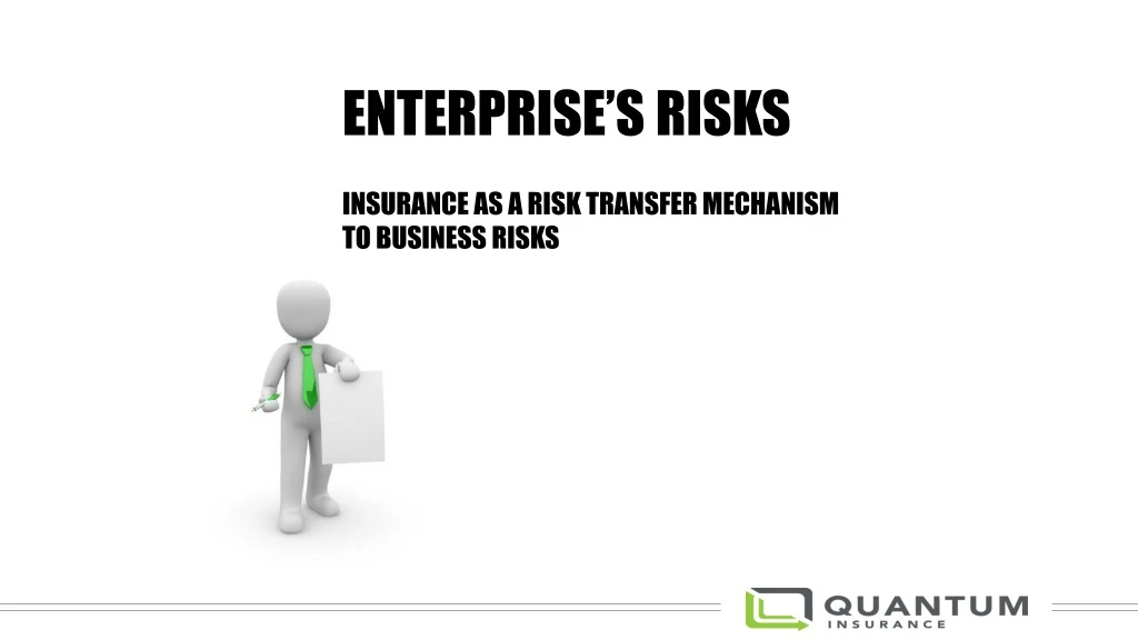 enterprise s risks