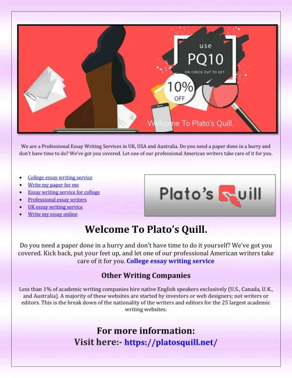 we are a professional essay writing services