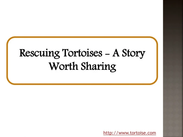 Rescuing Tortoises - A Story Worth Sharing