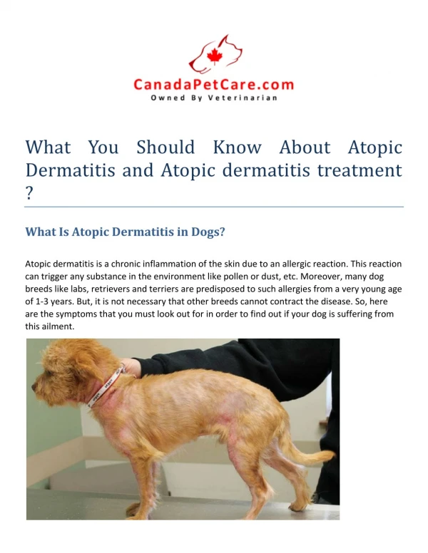 What You Should Know About Atopic Dermatitis and Atopic dermatitis treatment