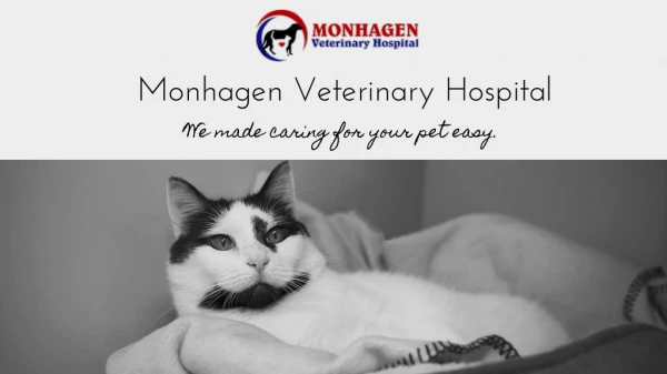 Monhagen Middletown Vet Hospital
