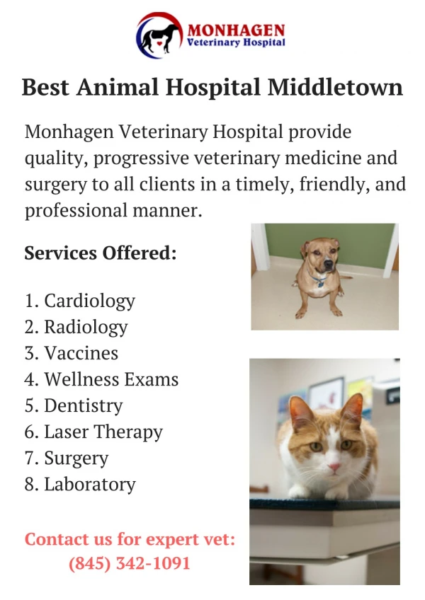 Best Veterinarians in Middletown