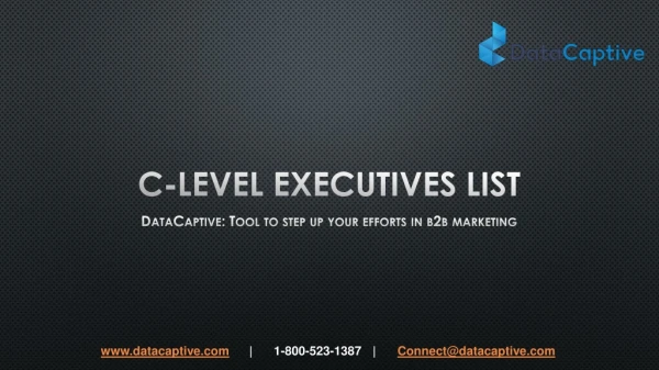 Where can I find US targeted C-Level Executives Database that can bring leads?