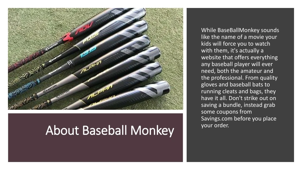 about baseball monkey