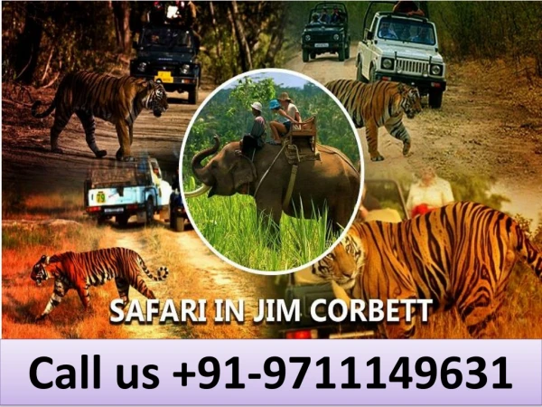 safari in Jim Corbett