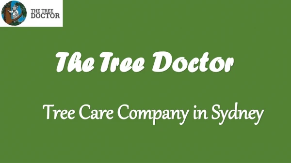 Professional Emergency Tree Removal Sydney | The Tree Doctor