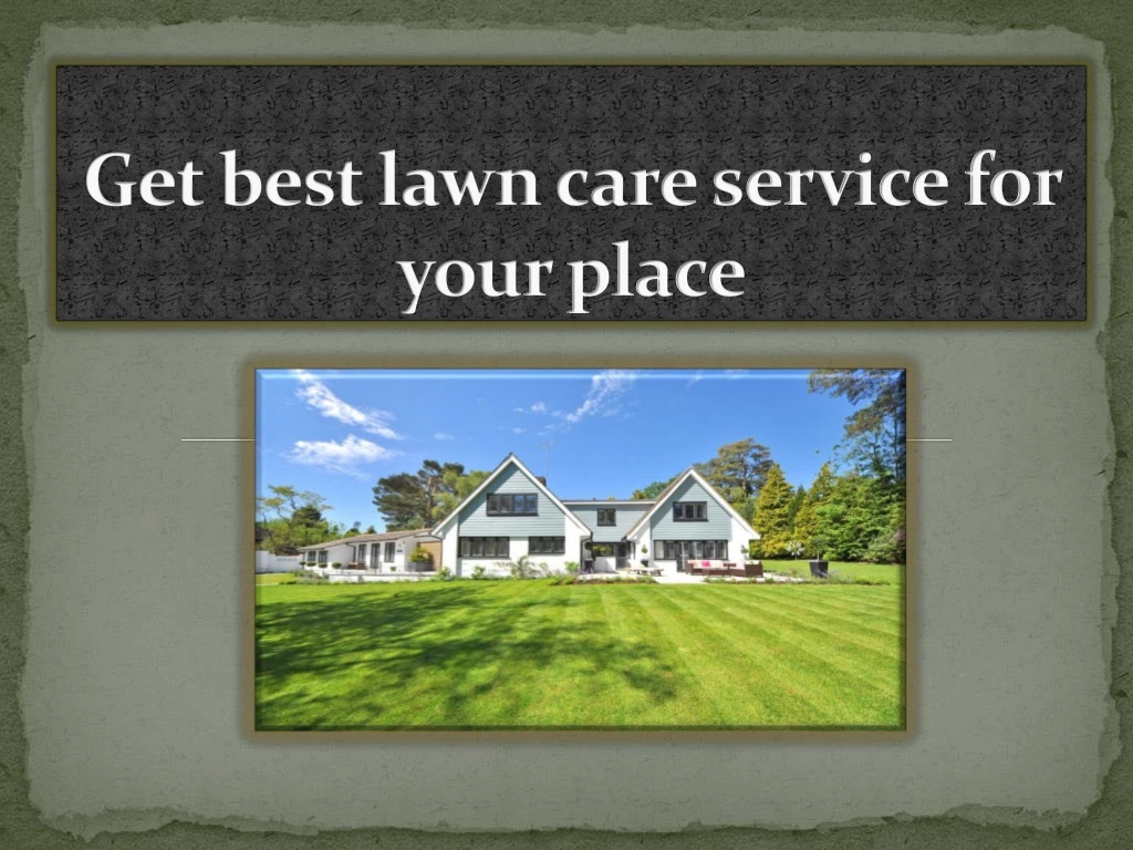 get best lawn care service for your place