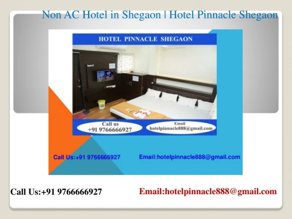 Non Ac Hotel in Shegaon | Hotel Pinnacle Shegaon