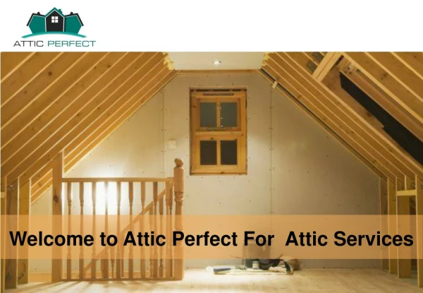 Take the Advantage of Professional Attic Cleaning in Bay Area