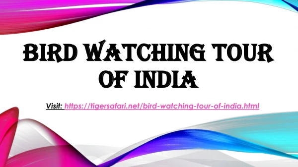 Bird Watching Tour of India