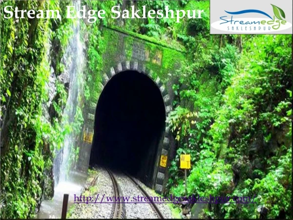 homestay in sakleshpur_Stream Edge Sakleshpur