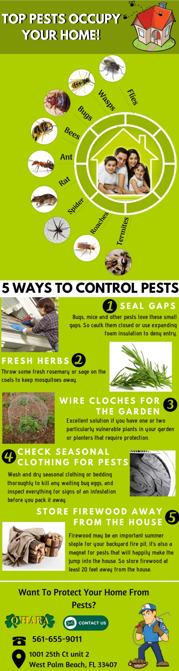 Tips to Keep Pests Away In & Around Your Home