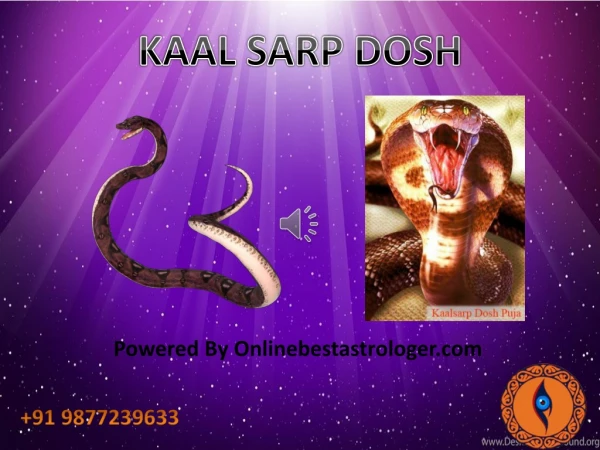 How to get rid of Kaal Sarp Dosh-Astrologer Swami Rudraksh Acharya ji