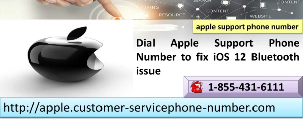 apple support phone number