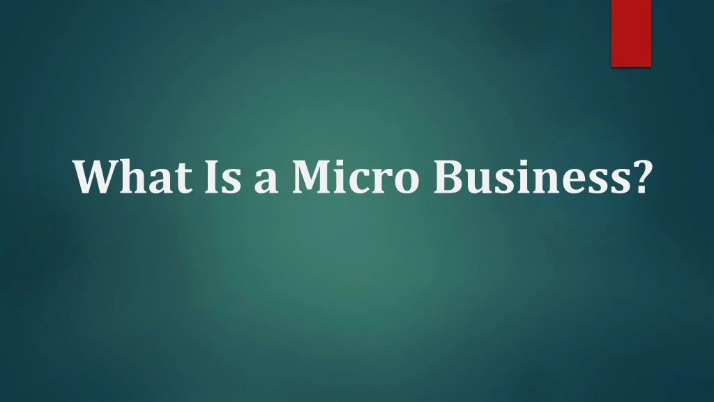what is a micro business