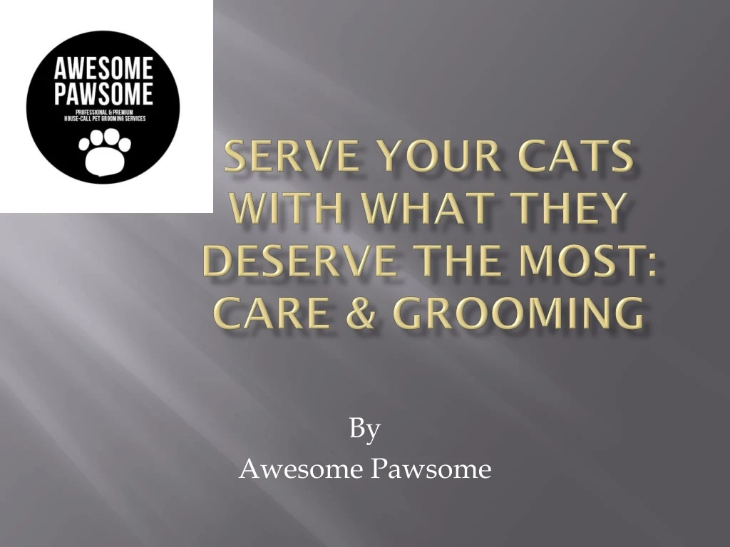 serve your cats with what they deserve the most care grooming