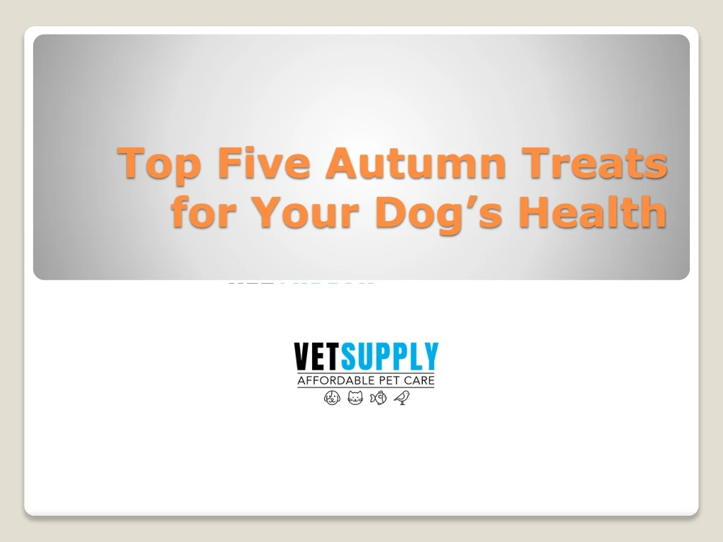 top five autumn treats for your dog s health