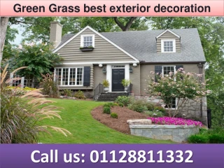 Green Grass best exterior decoration