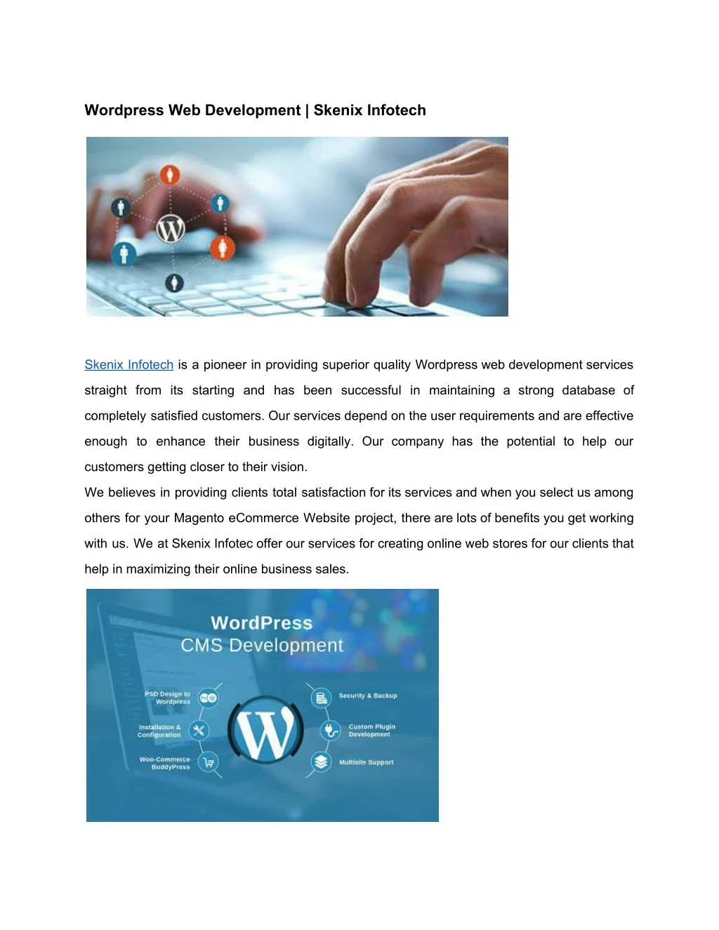 wordpress web development skenix infotech