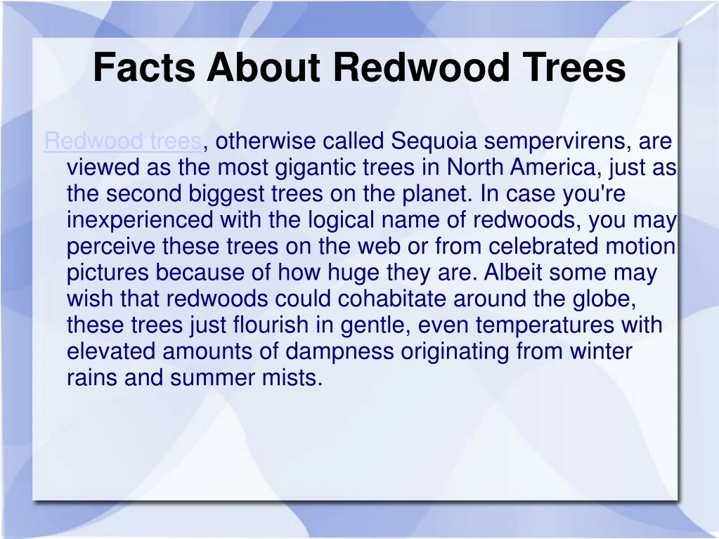facts about redwood trees