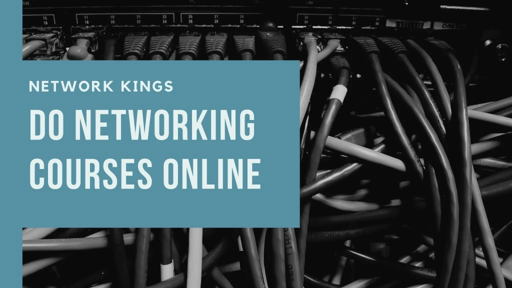 network kings