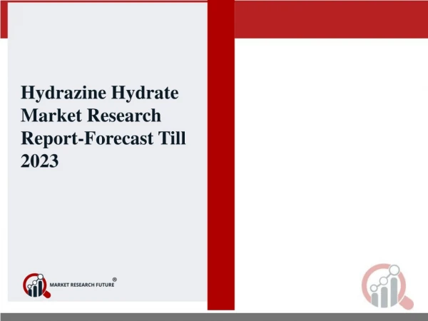 Hydrazine Hydrate Market: A Guide to Competitive Landscape, Key Country Analysis, state funding initiatives
