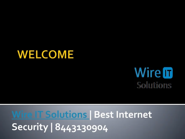 Wire IT Solutions | 8443130904 | Best Internet Security
