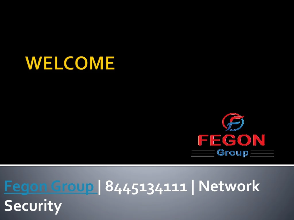 fegon group 8445134111 network security