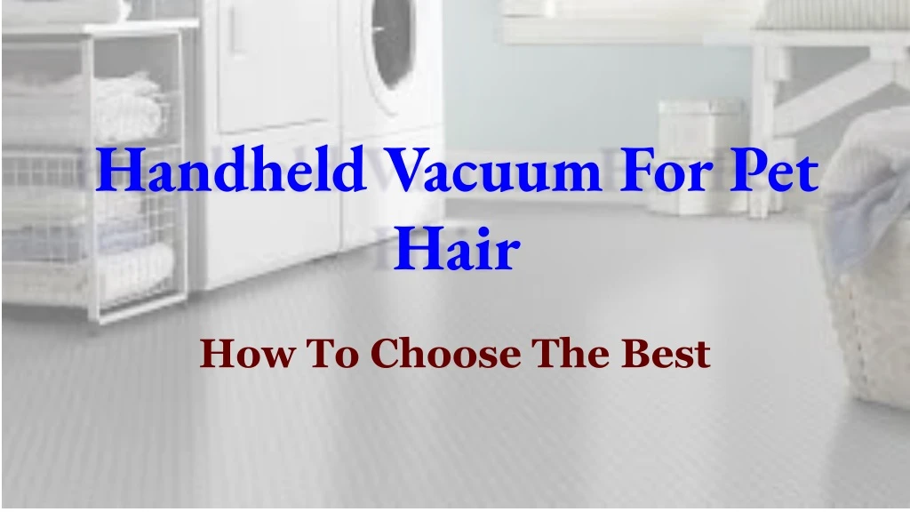 handheld vacuum for pet hair