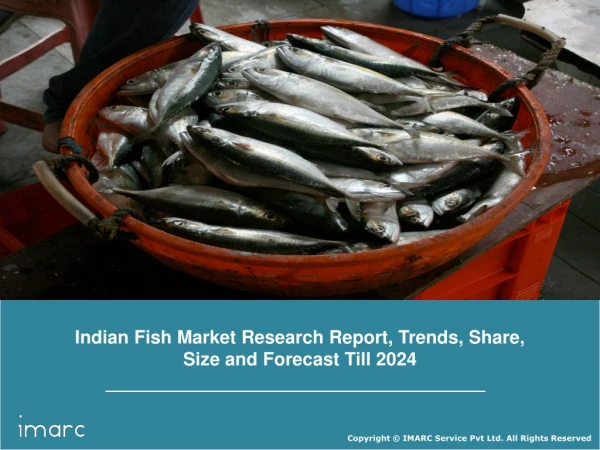 Indian Fish Market Research Report, Market Share, Size, Trends, Forecast Till 2024