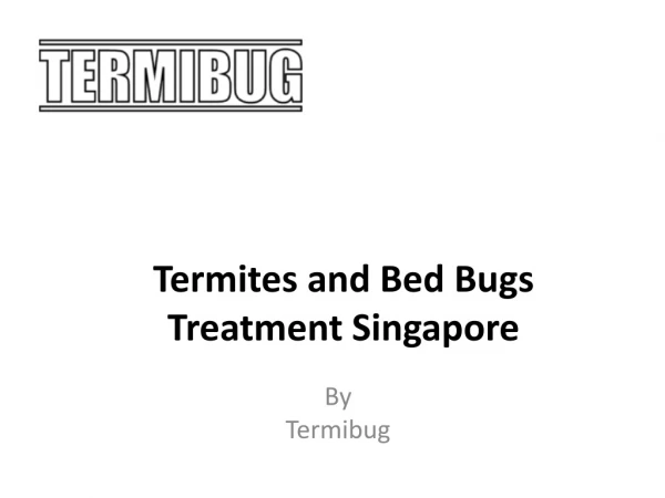 Termites and Bed Bugs Treatment Singapore