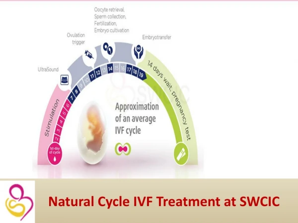 Natural Cycle IVF Treatment