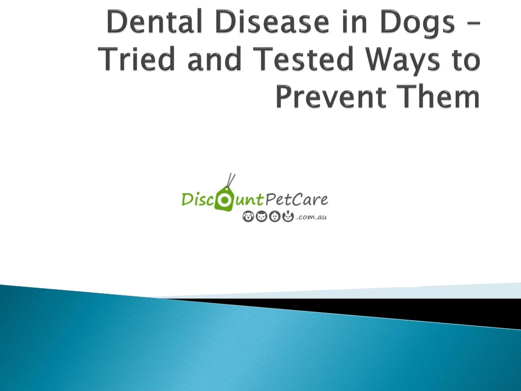 dental disease in dogs tried and tested ways to prevent them