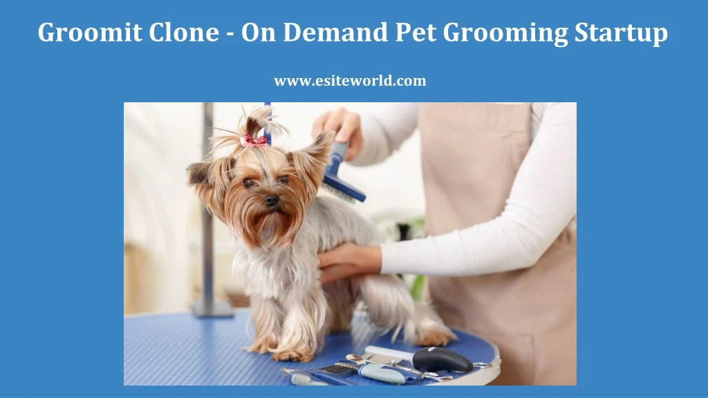 groomit clone on demand pet grooming startup