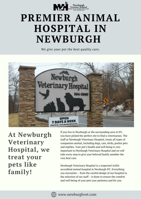 Veterinarian Newburgh - Premier Animal Hospital in Newburgh