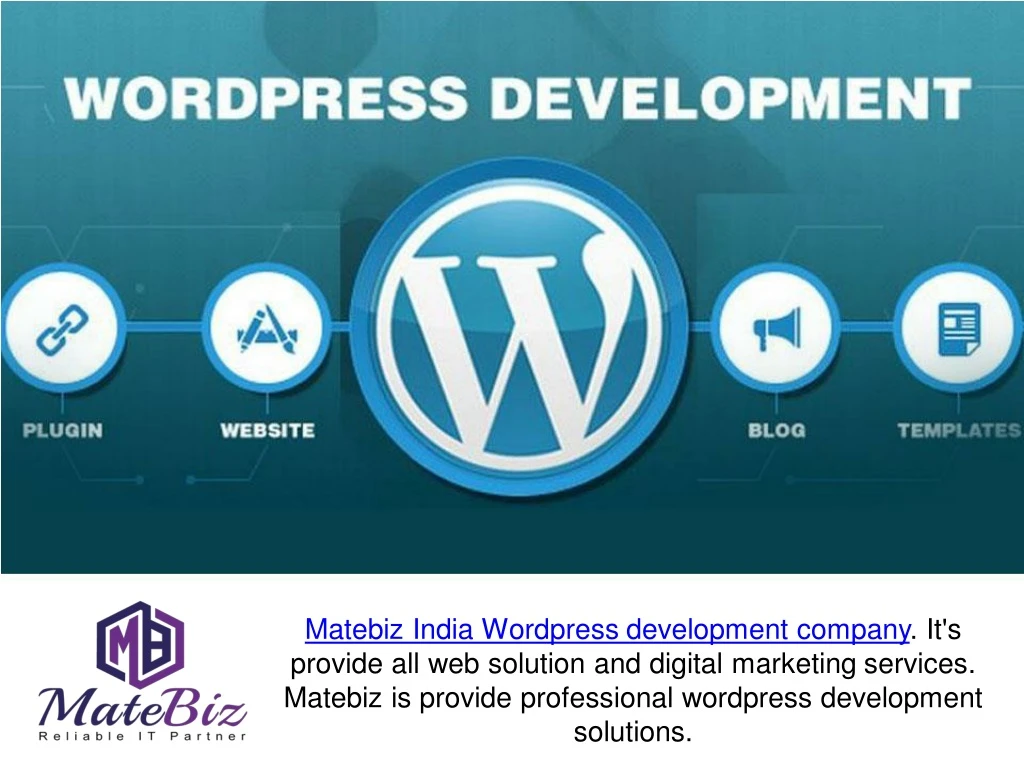 matebiz india wordpress development company