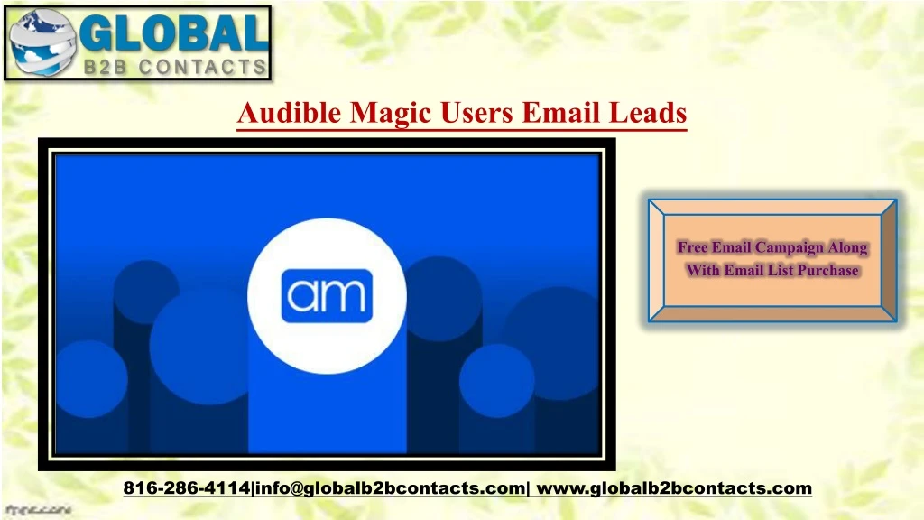 audible magic users email leads