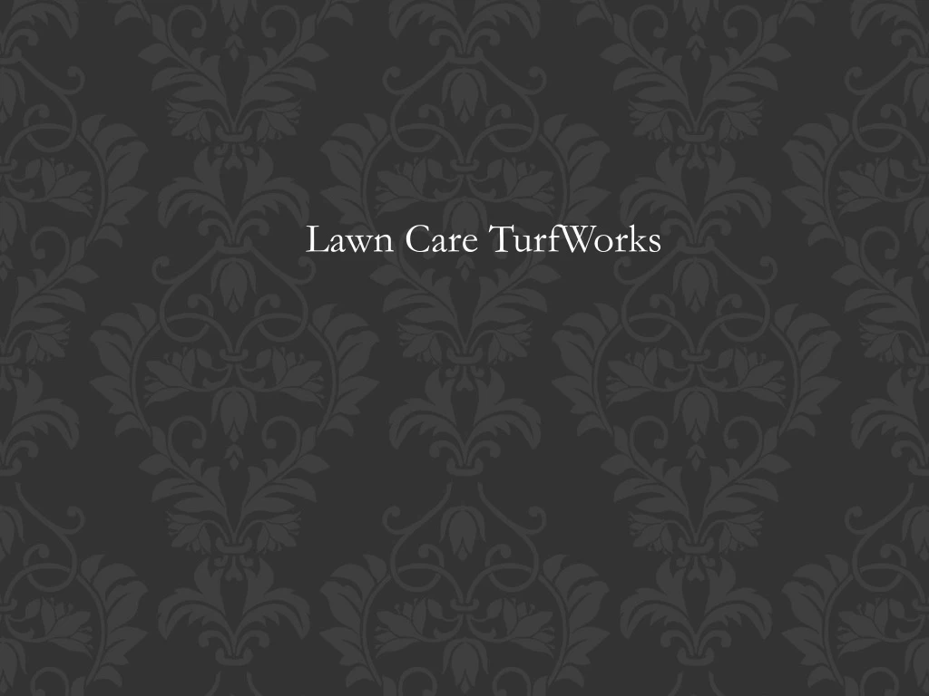 lawn care turfworks