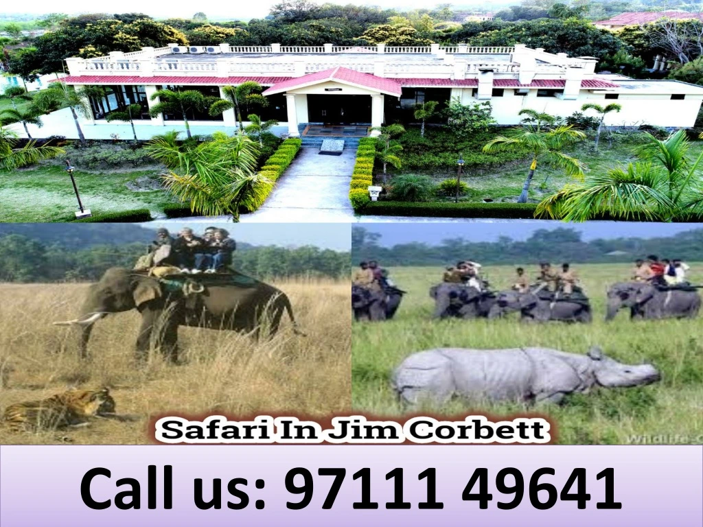 call us 97111 49641