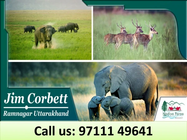 call us 97111 49641
