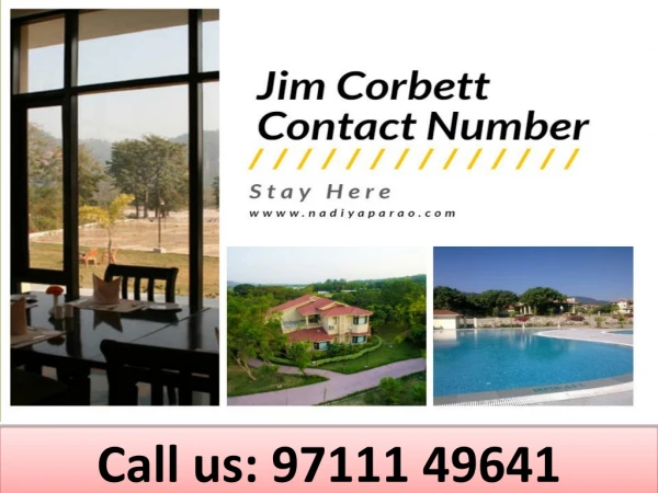 call us 97111 49641