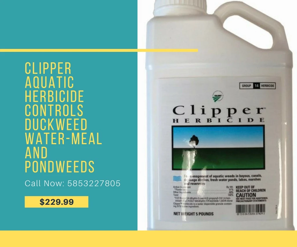clipper a qu a tic herbicide controls duckweed