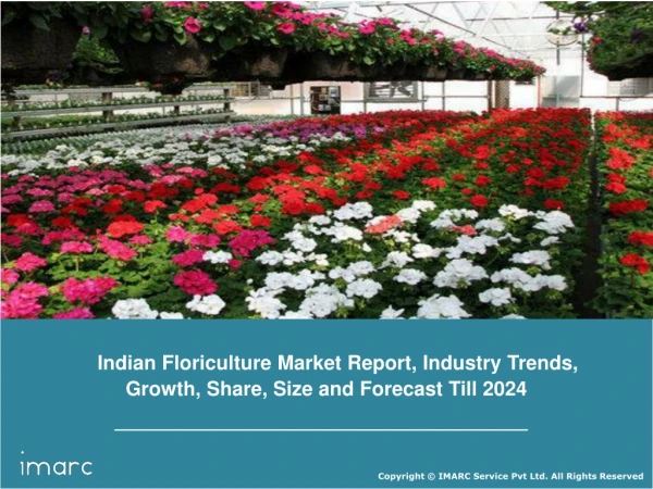 Indian Floriculture Market Research Report 2019, Industry Trends, Share, Size, Demand and Future Scope